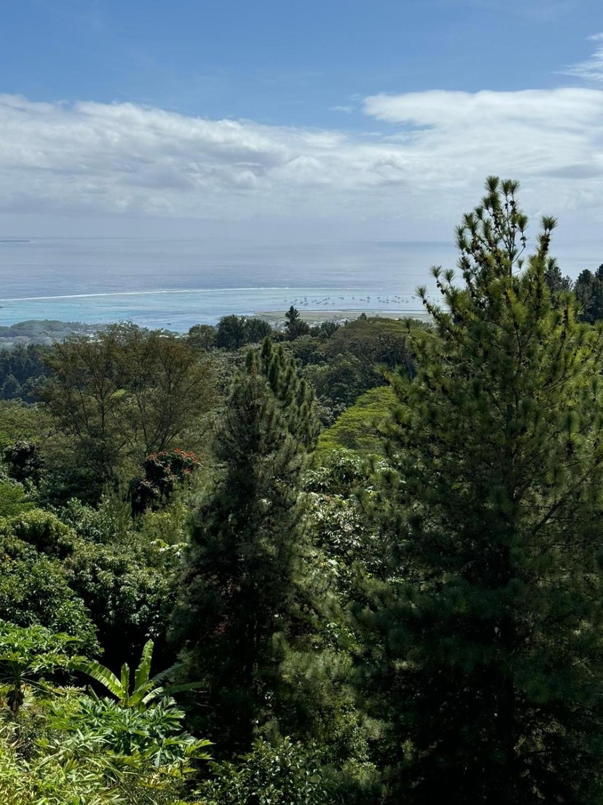 Studio Confort Avec Piscine Et Vue Tahiti Punaauia Exteriör bild