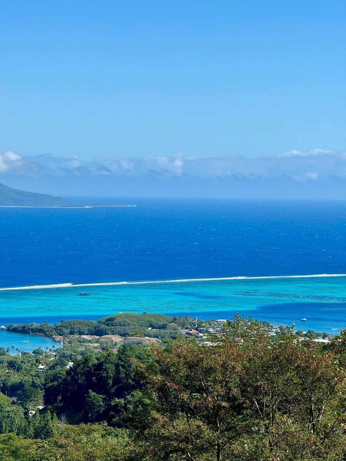 Studio Confort Avec Piscine Et Vue Tahiti Punaauia Exteriör bild